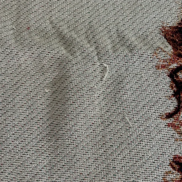 Taylor Swift “Speak Now” Tapestry Blanket - Picture 2 of 4